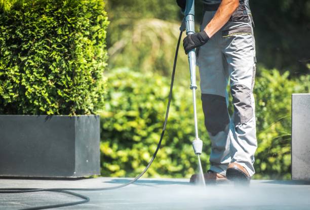 Boat and Dock Cleaning in St Johns, AZ