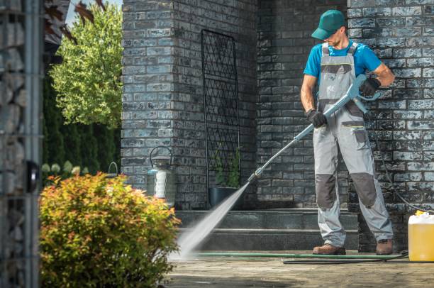 Best Factory Floor Cleaning  in St Johns, AZ