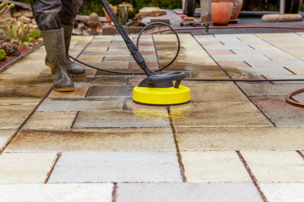Best Animal Enclosure Cleaning  in St Johns, AZ